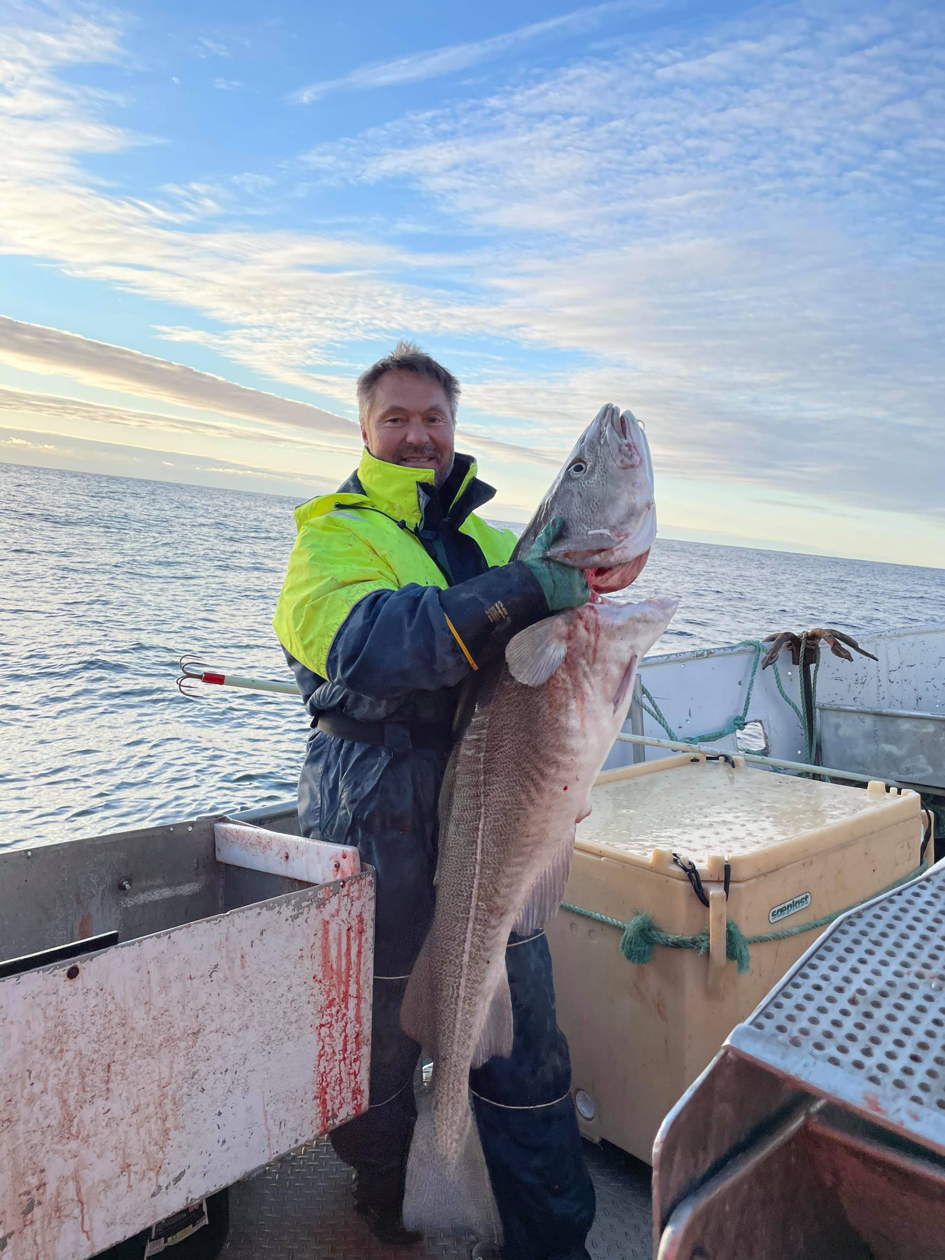 Large fish caught in the Varangerfjord